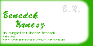 benedek manesz business card